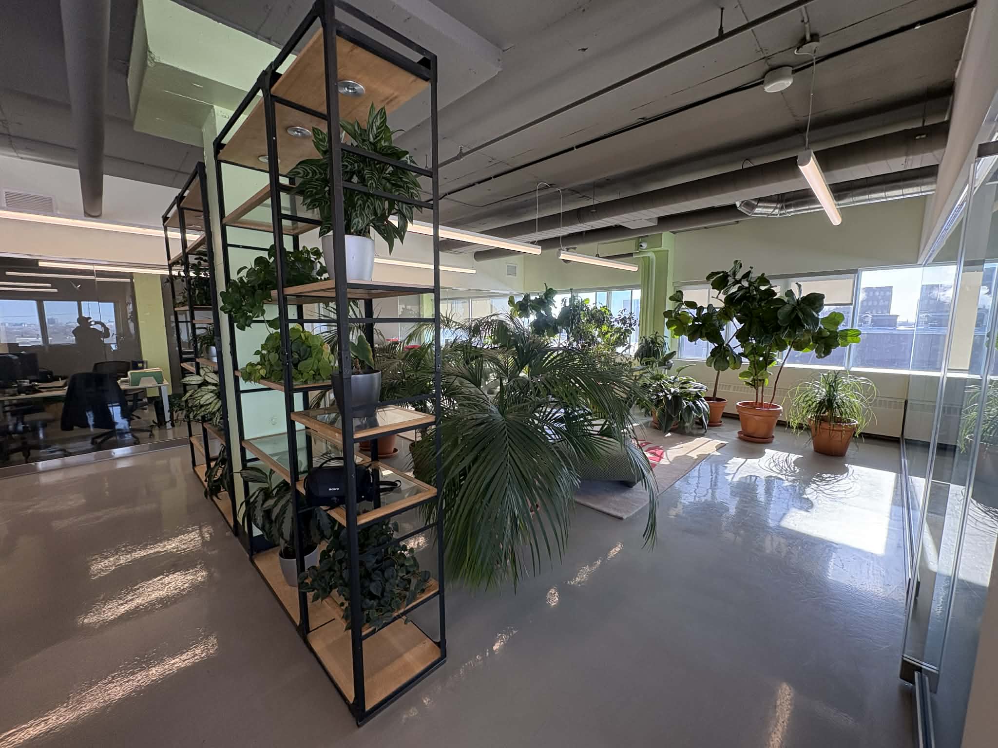 225 Chabanel Ouest, Suite 1114 - Image 1